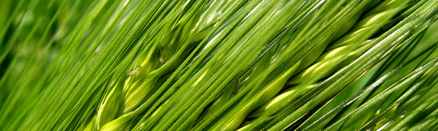 Jeudi 11 septembre 2025