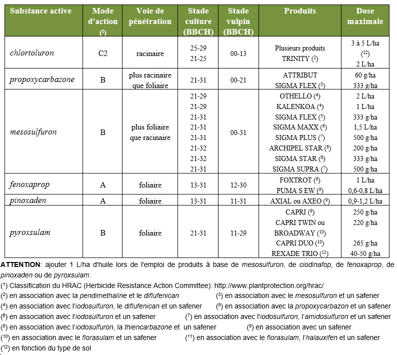 Herbicides céréales - Printemps - Antigraminées